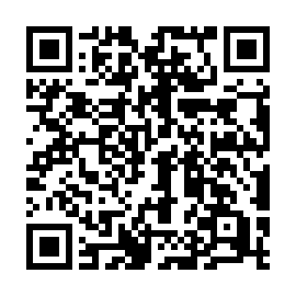 QR-Code zu dieser Seite
