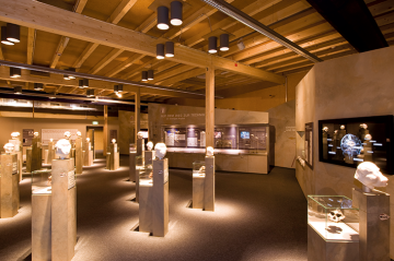 Senkenberg_museum_brumberg